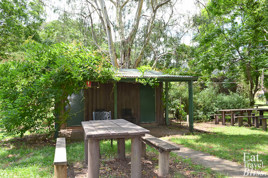 St Albans - pub - backyard